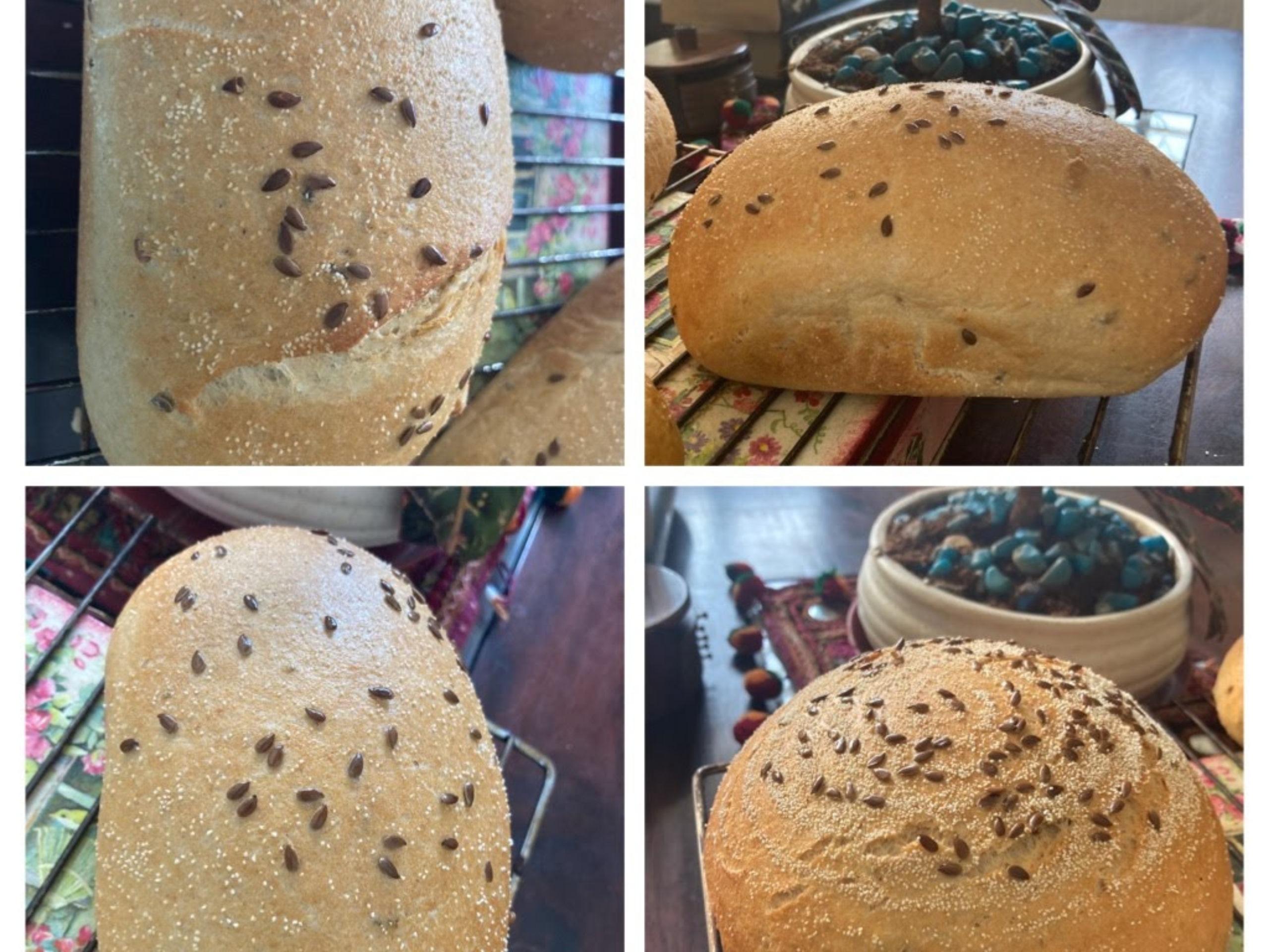 Untitled design (19)