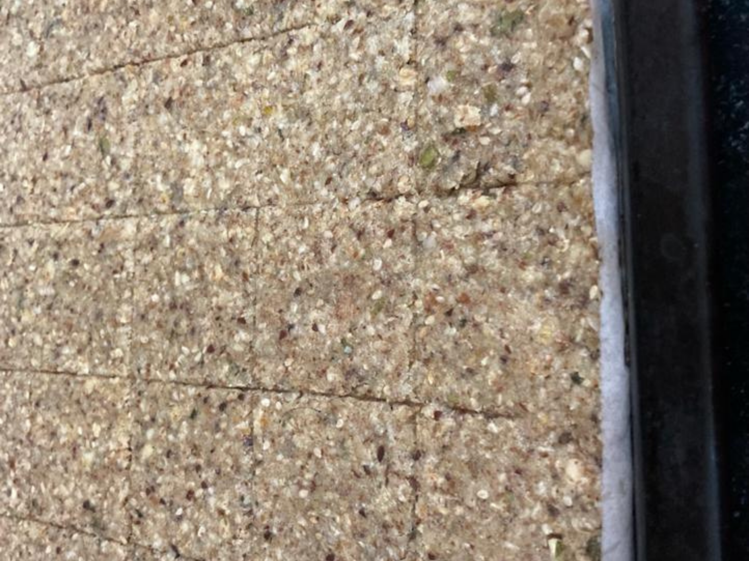 Untitled design (26)