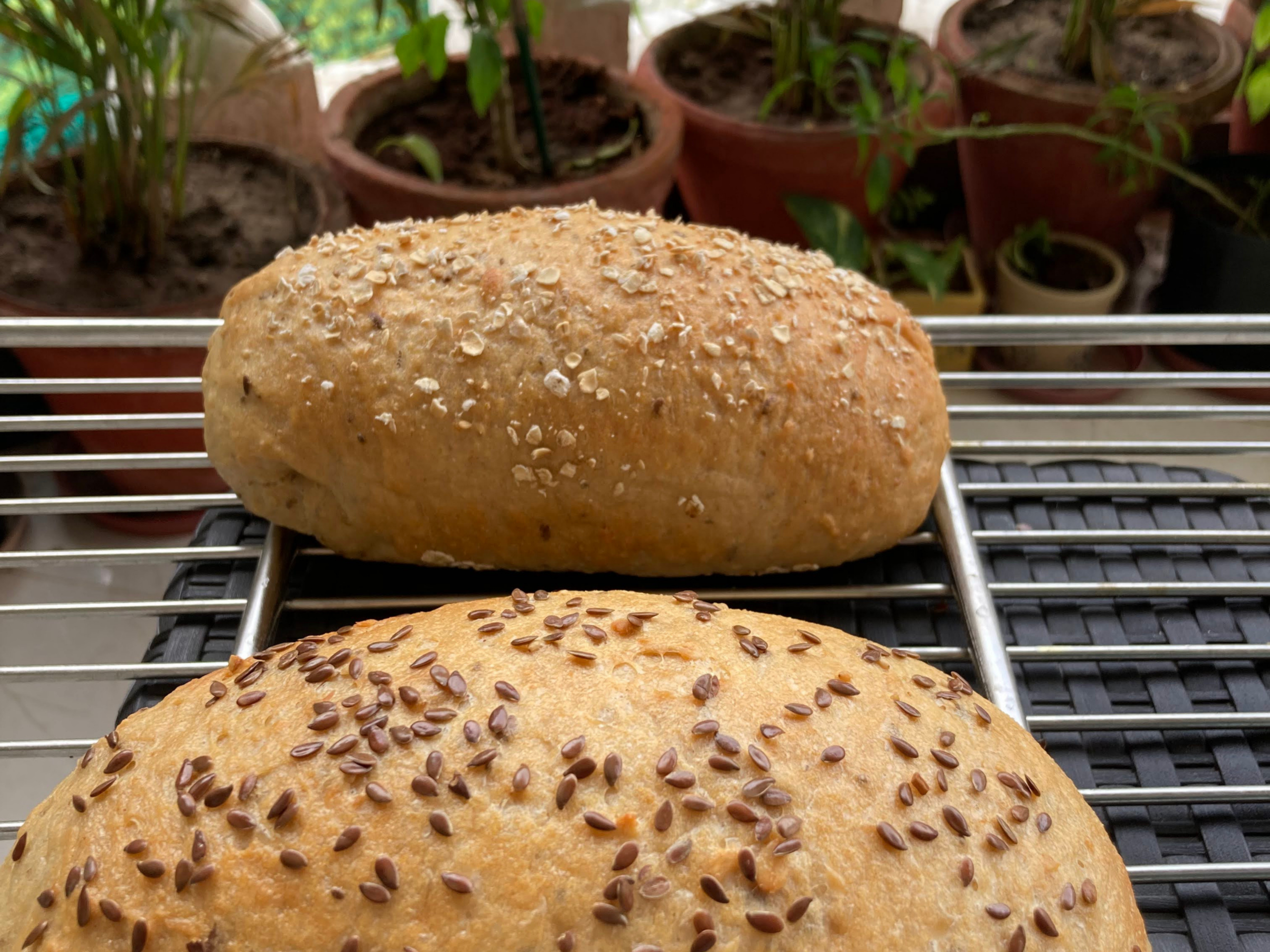 Untitled design (73)