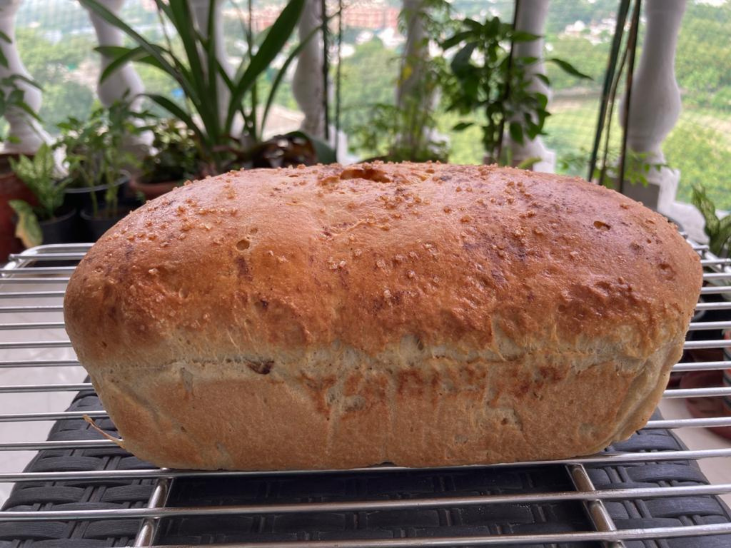 recipe slider size (3)